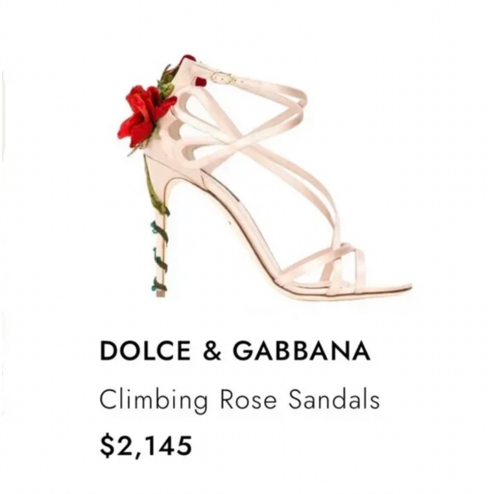 NWT Dolce & Gabbana Climbing Rose Sandals 37 - Picture 4 of 5